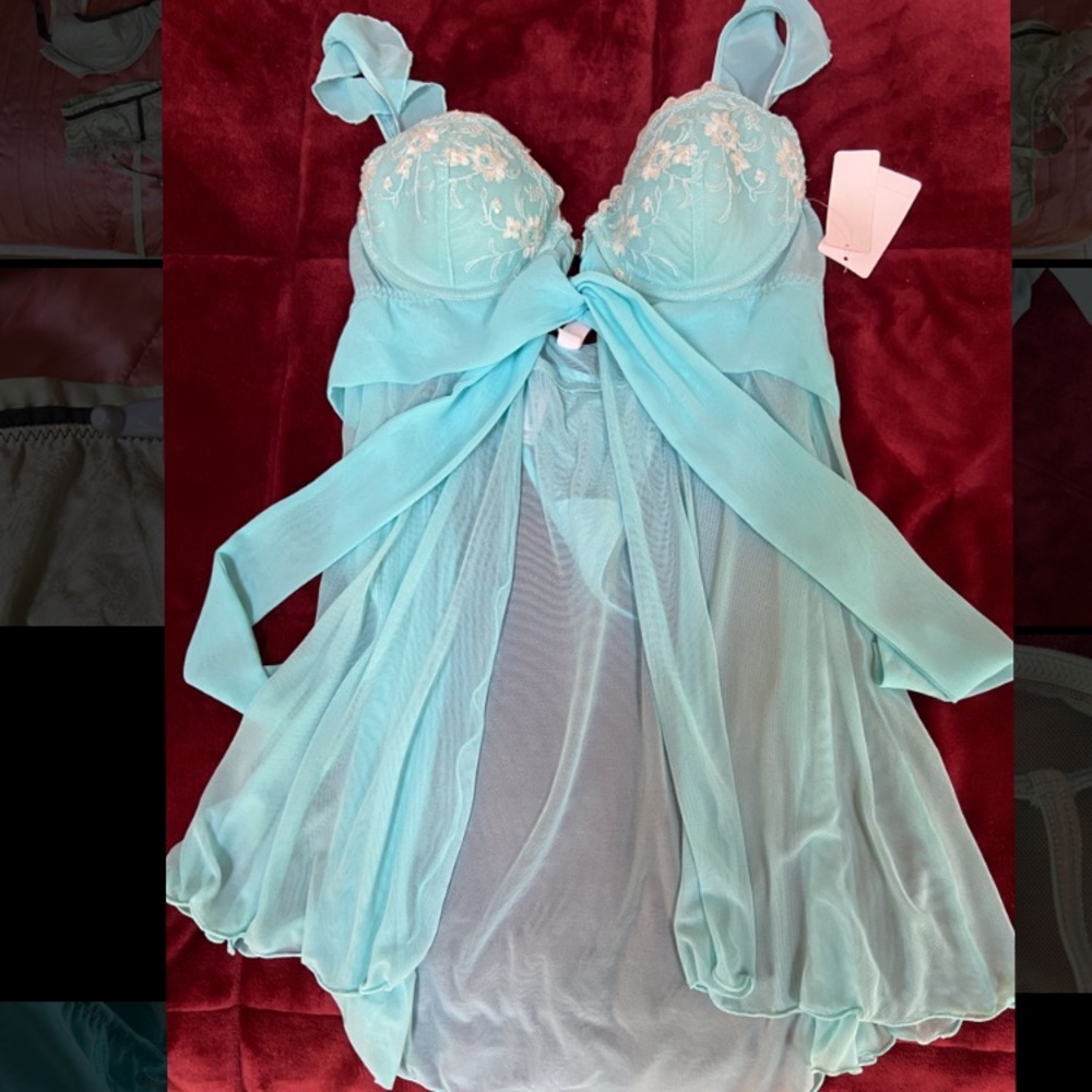 NWT Inner Secrets sheer teddy & thong set